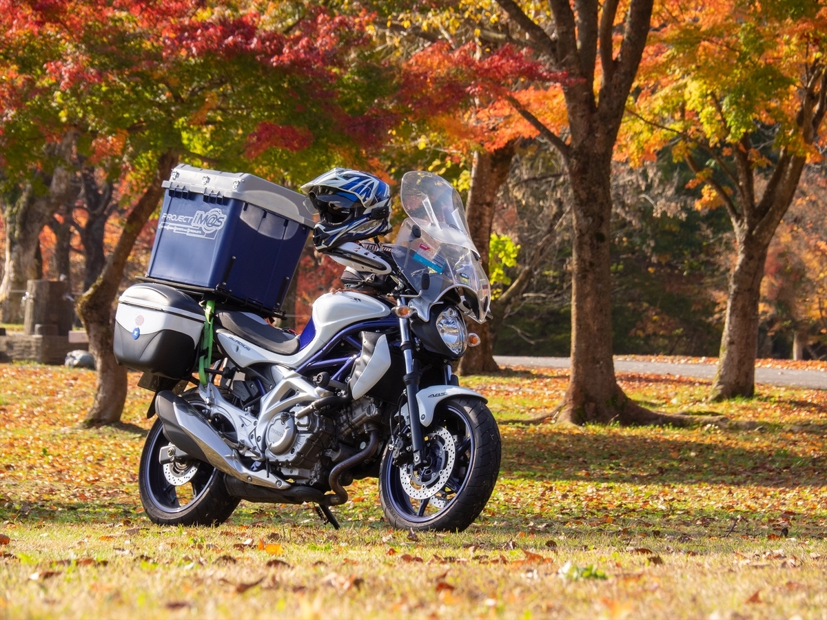 f:id:kuma2vanilla:20191103111645j:plain f:id:kuma2vanilla:20191103111645j:plain