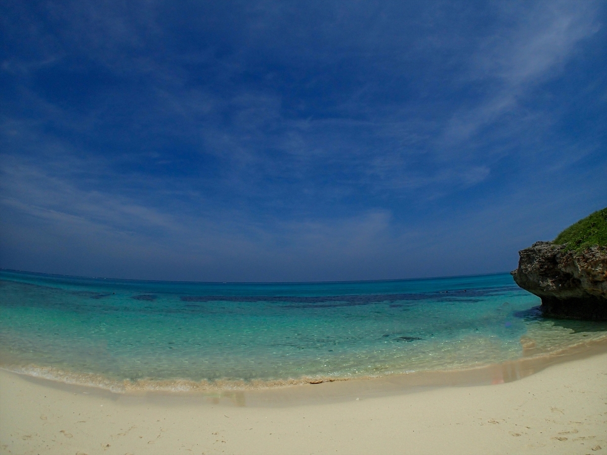 f:id:kuma2vanilla:20191103111747j:plain f:id:kuma2vanilla:20191103111747j:plain