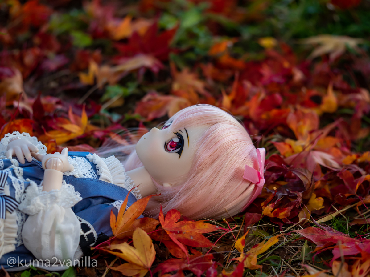 まだまだ撮れる紅葉とドール♪ 近所の公園で撮ってきました！ - もりの