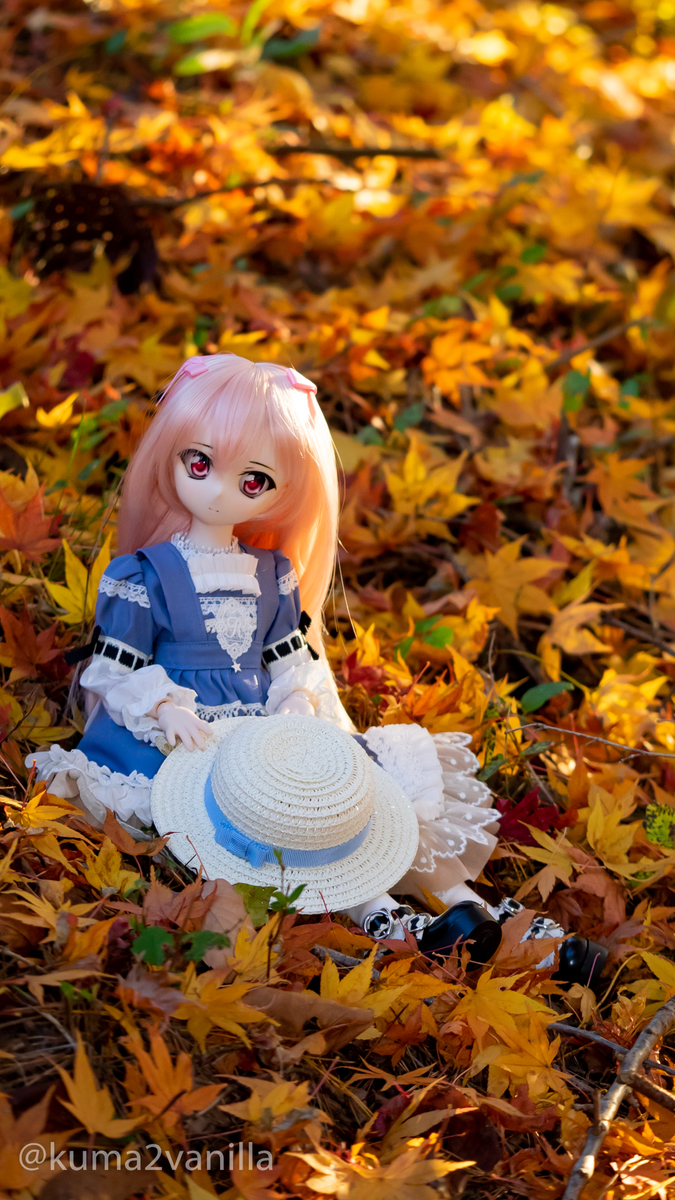 その他 KUMA -ABASHIRIBEAR- まだまだ撮れる紅葉とドール♪ 近所の公園で撮ってきました！ - もりの