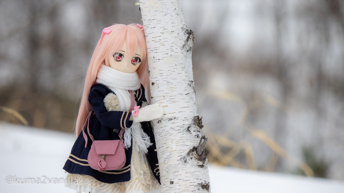 f:id:kuma2vanilla:20200119212244j:plain