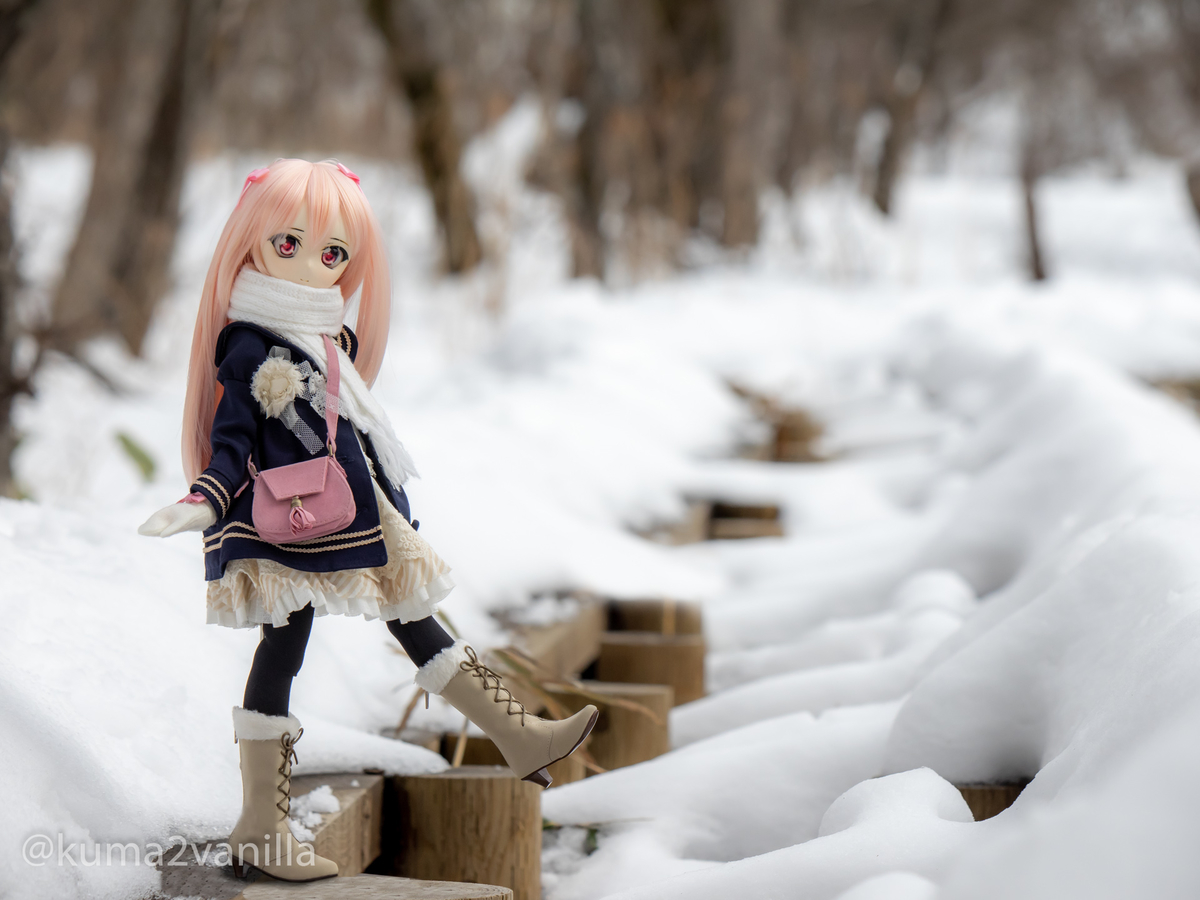 f:id:kuma2vanilla:20200119212258j:plain