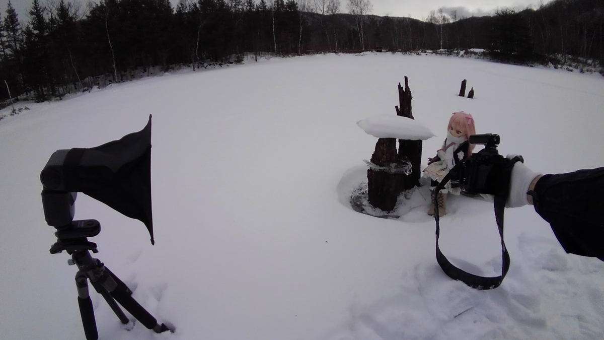 f:id:kuma2vanilla:20200119212855j:plain