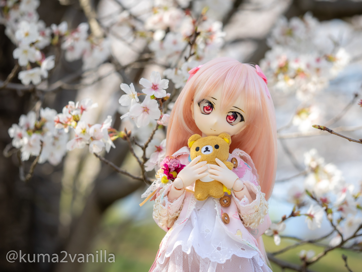 f:id:kuma2vanilla:20200406201350j:plain