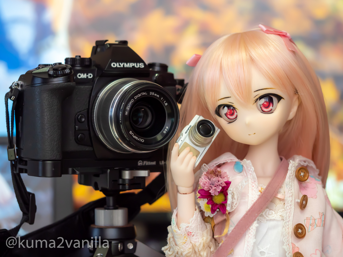 ドール写真まとめ 夜桜～カメラ機材～湿原 - もりのくま3