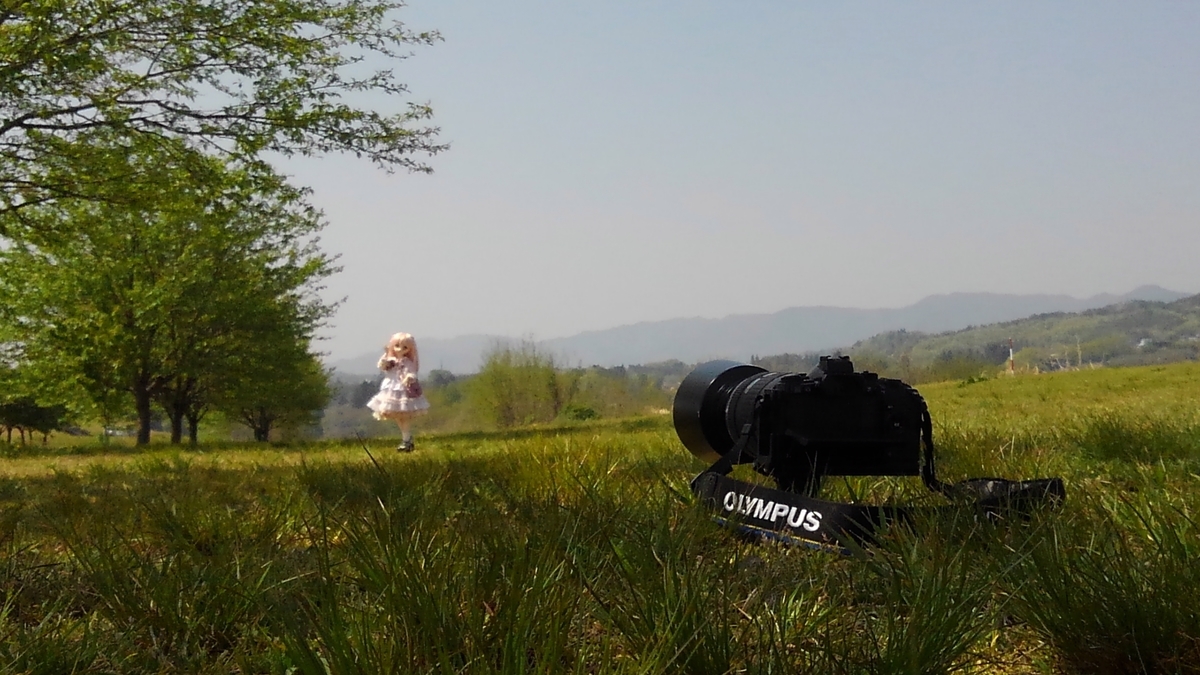 f:id:kuma2vanilla:20200502223906j:plain