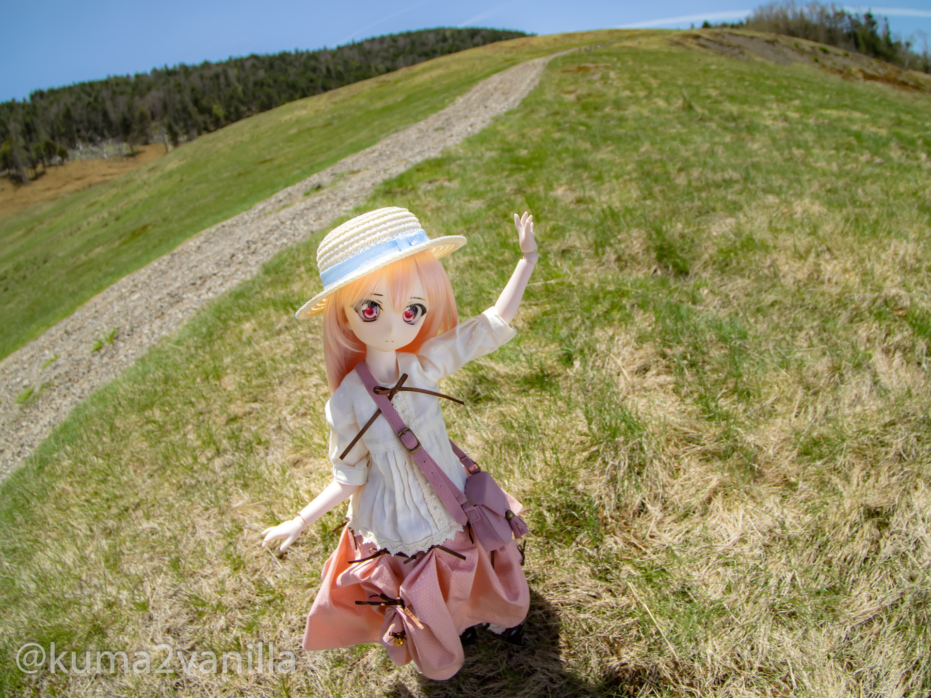 f:id:kuma2vanilla:20200605215519j:plain