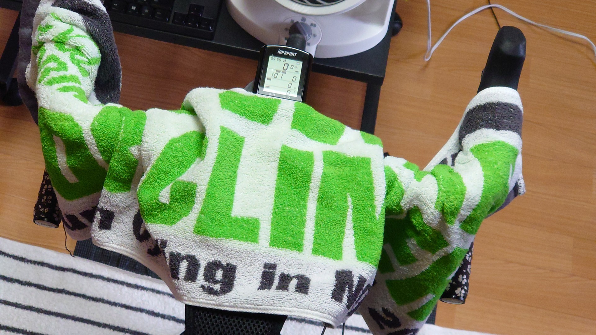 f:id:kuma2vanilla:20200706212242j:plain