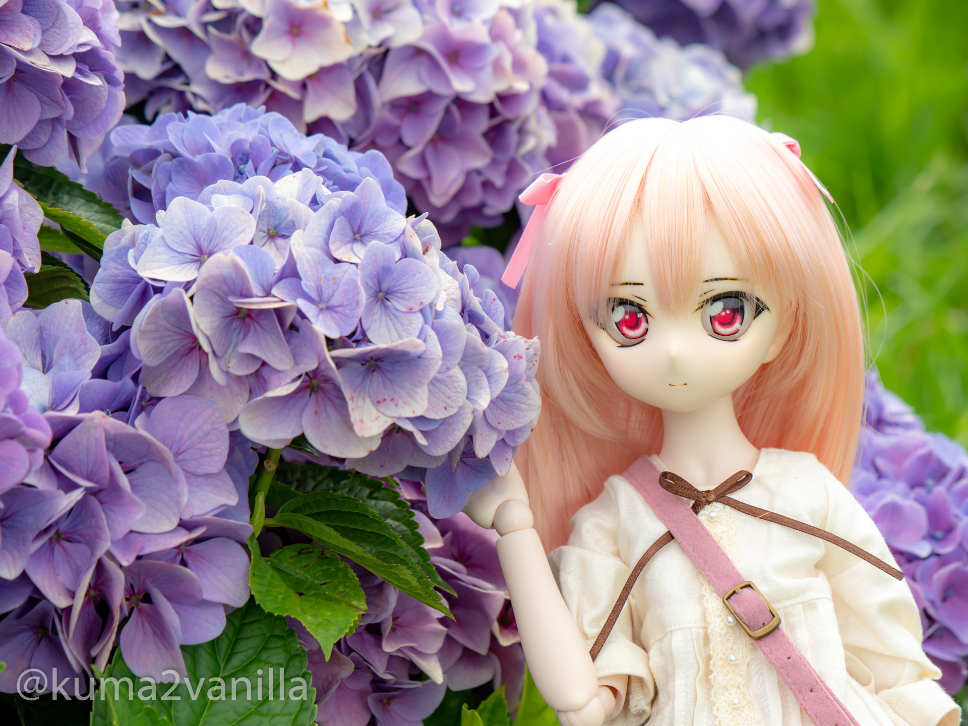 f:id:kuma2vanilla:20200724191921j:plain