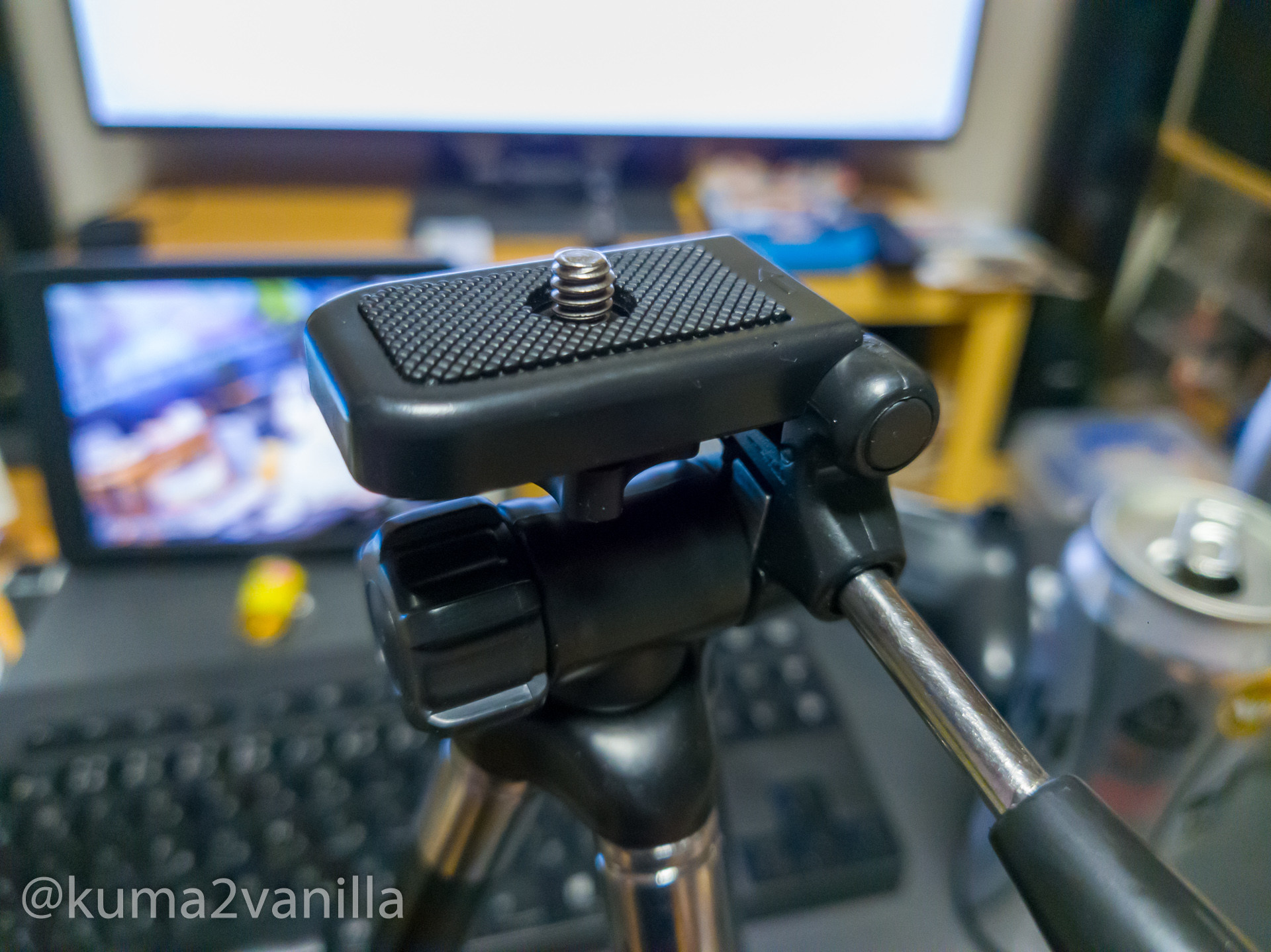 f:id:kuma2vanilla:20200817104211j:plain