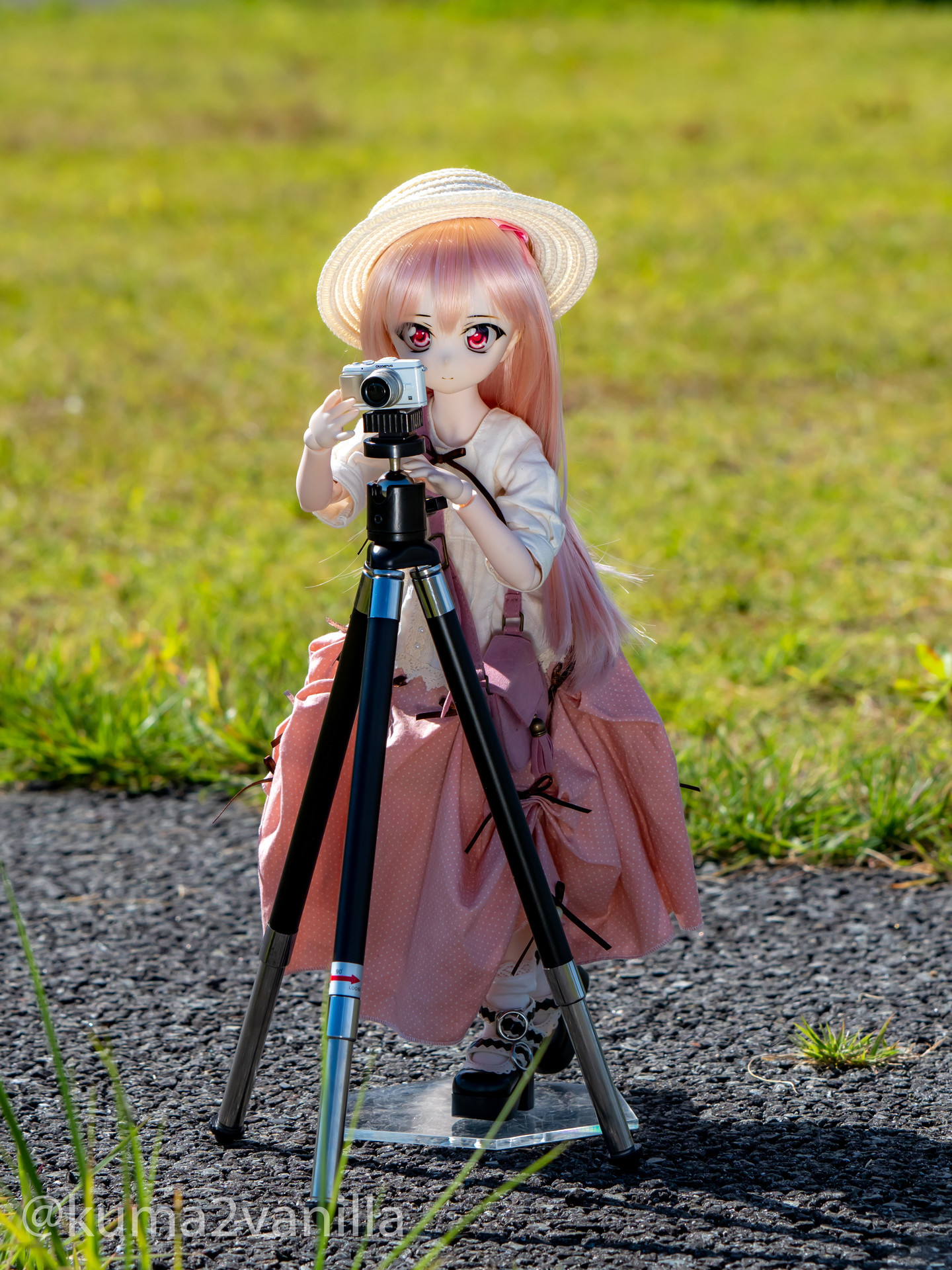 f:id:kuma2vanilla:20200817104704j:plain