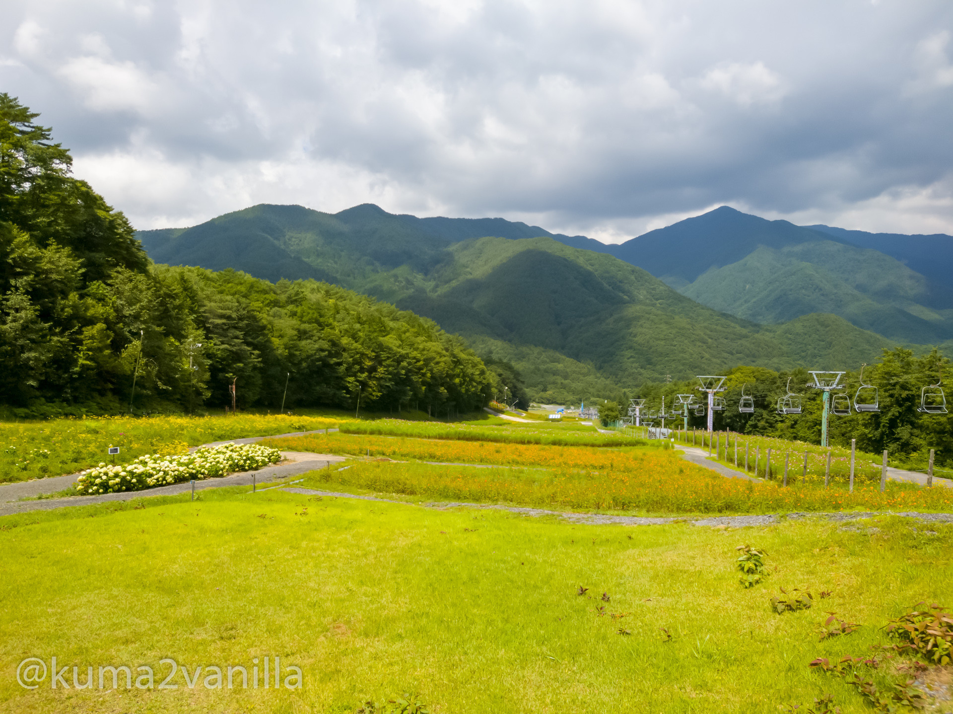 f:id:kuma2vanilla:20200824174211j:plain