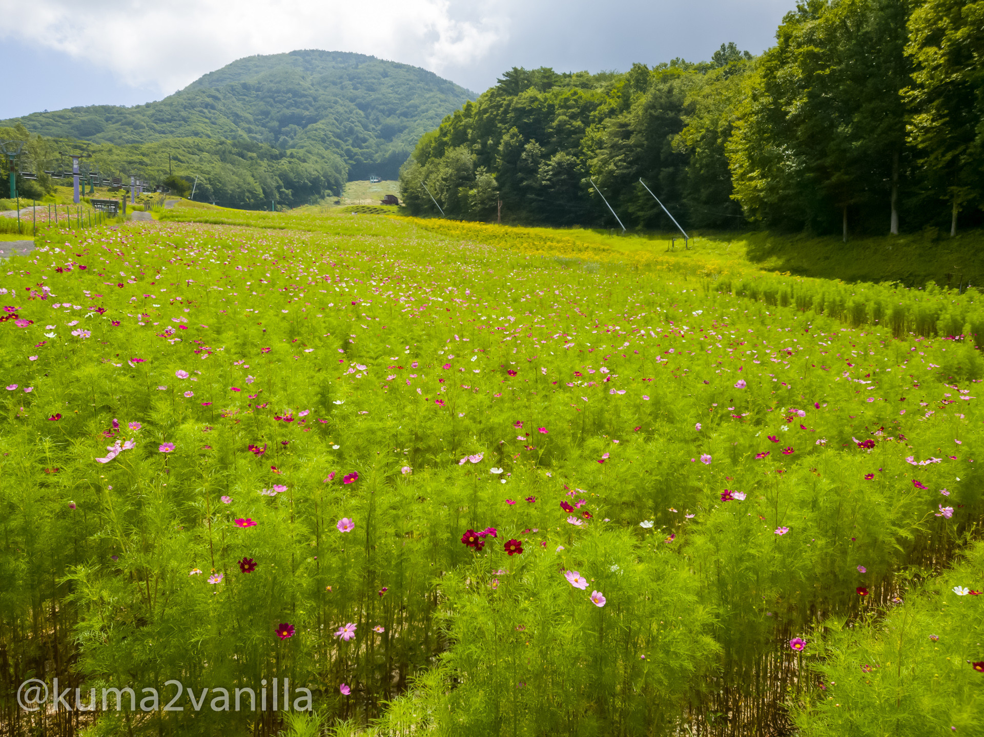 f:id:kuma2vanilla:20200824174223j:plain