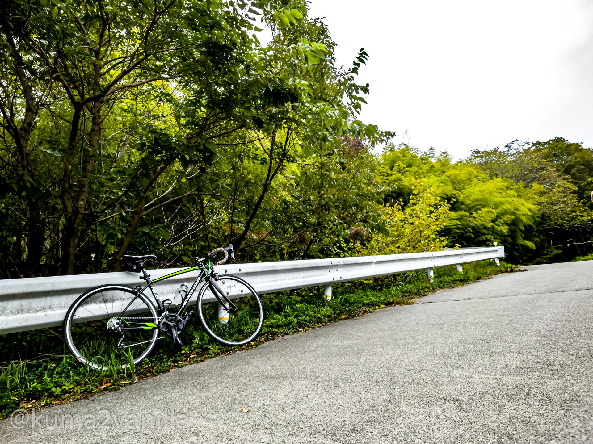 f:id:kuma2vanilla:20201006182023j:plain f:id:kuma2vanilla:20201006182023j:plain