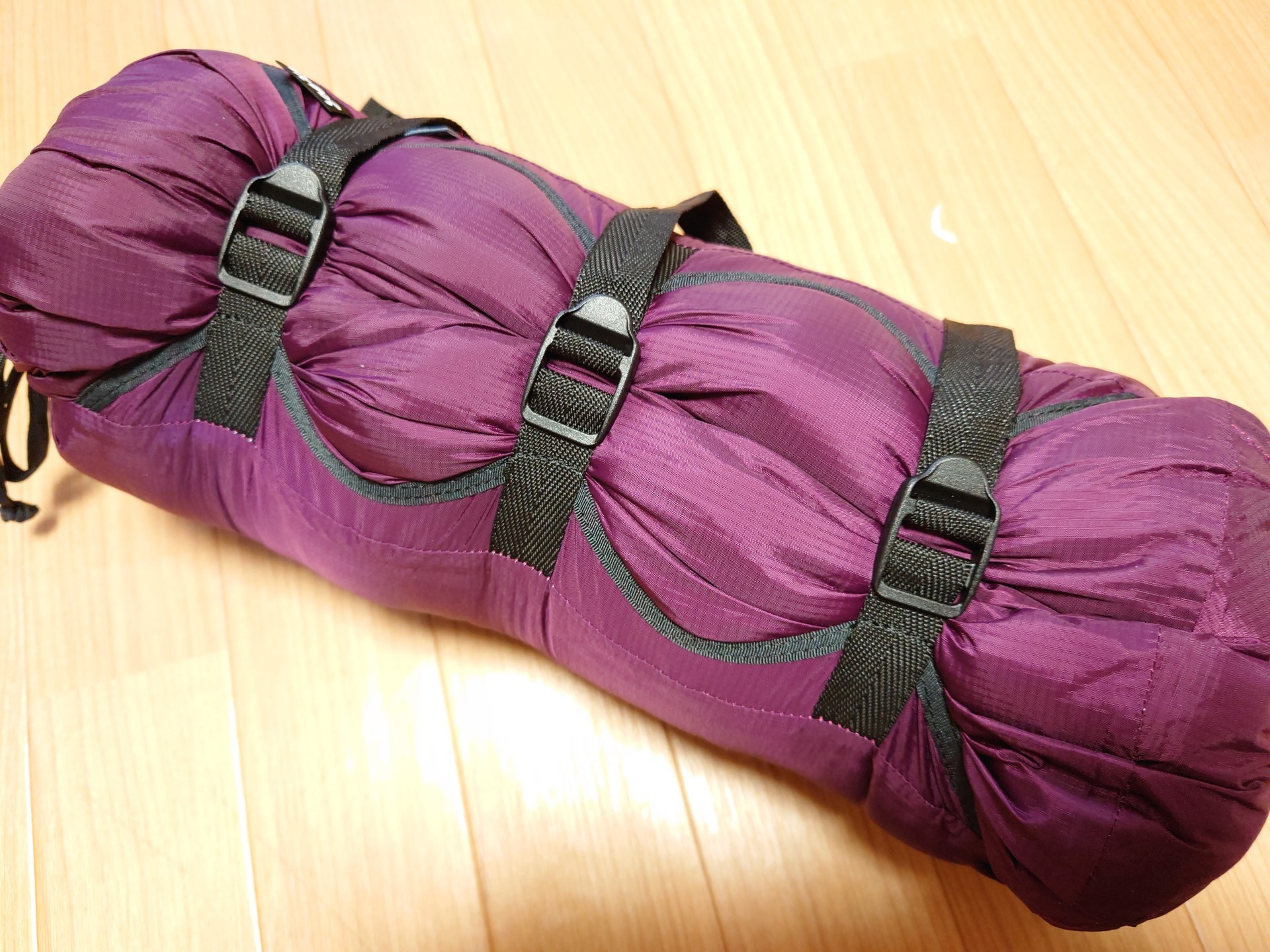 f:id:kuma2vanilla:20201012205130j:plain f:id:kuma2vanilla:20201012205130j:plain