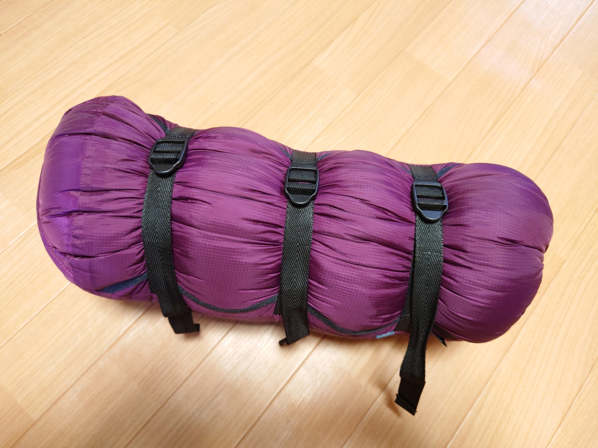 f:id:kuma2vanilla:20201012212832j:plain f:id:kuma2vanilla:20201012212832j:plain