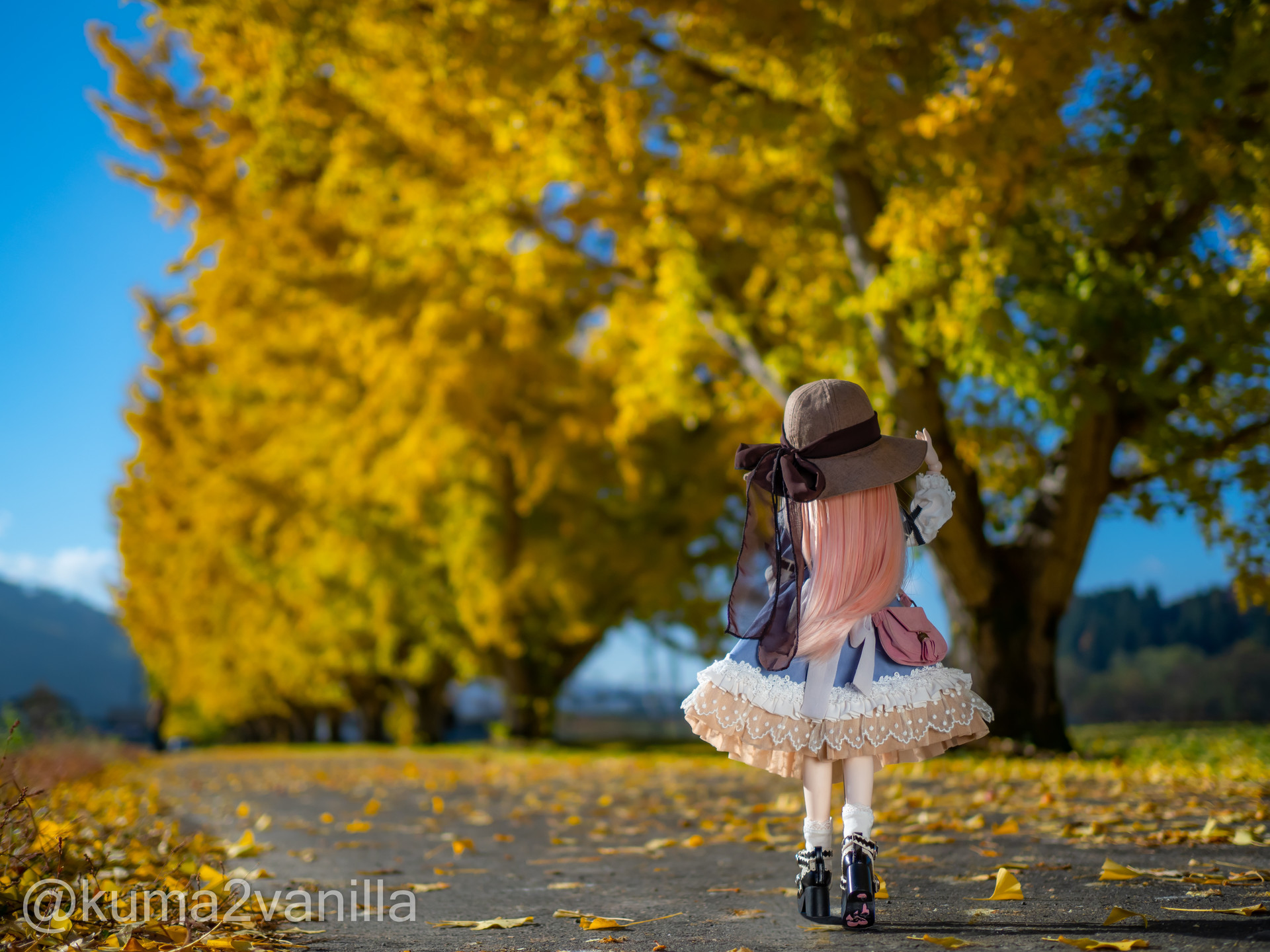 f:id:kuma2vanilla:20201109144312j:plain