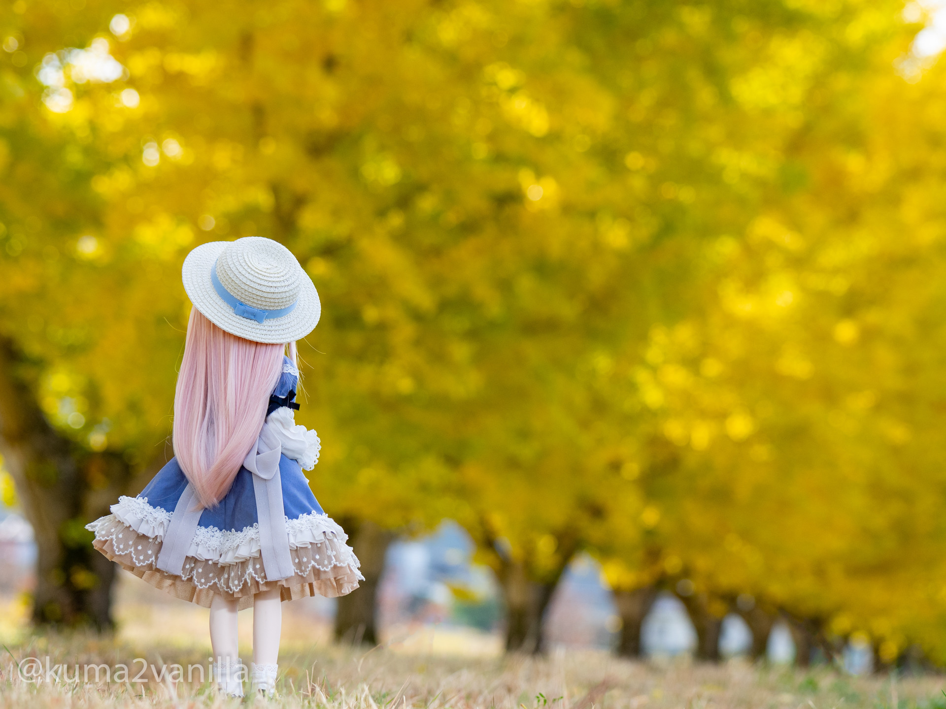 f:id:kuma2vanilla:20201109145443j:plain