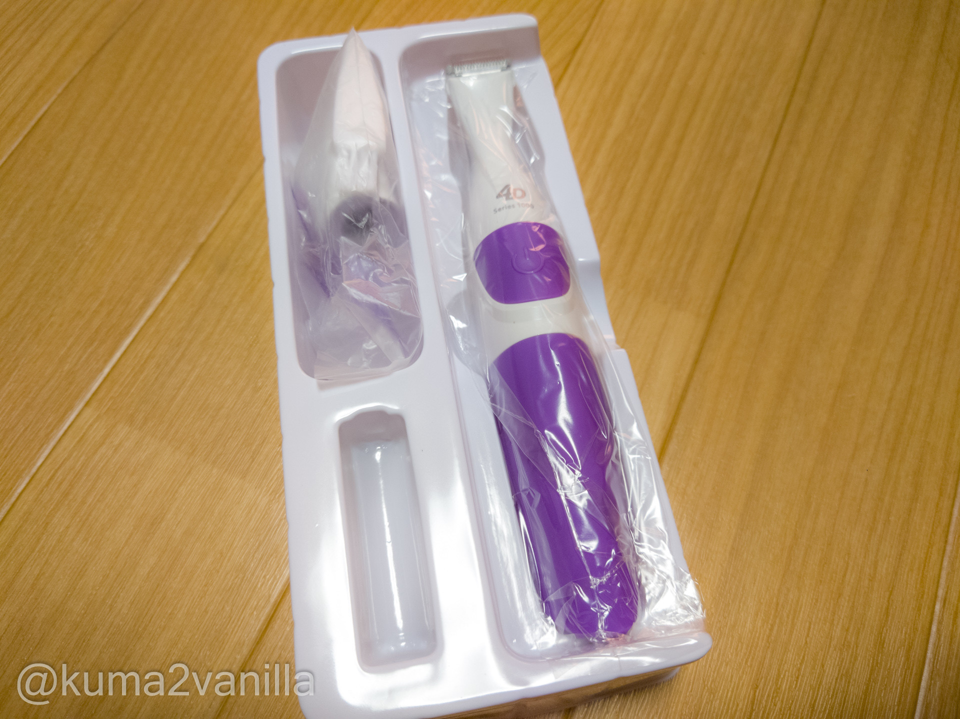 f:id:kuma2vanilla:20201121115006j:plain