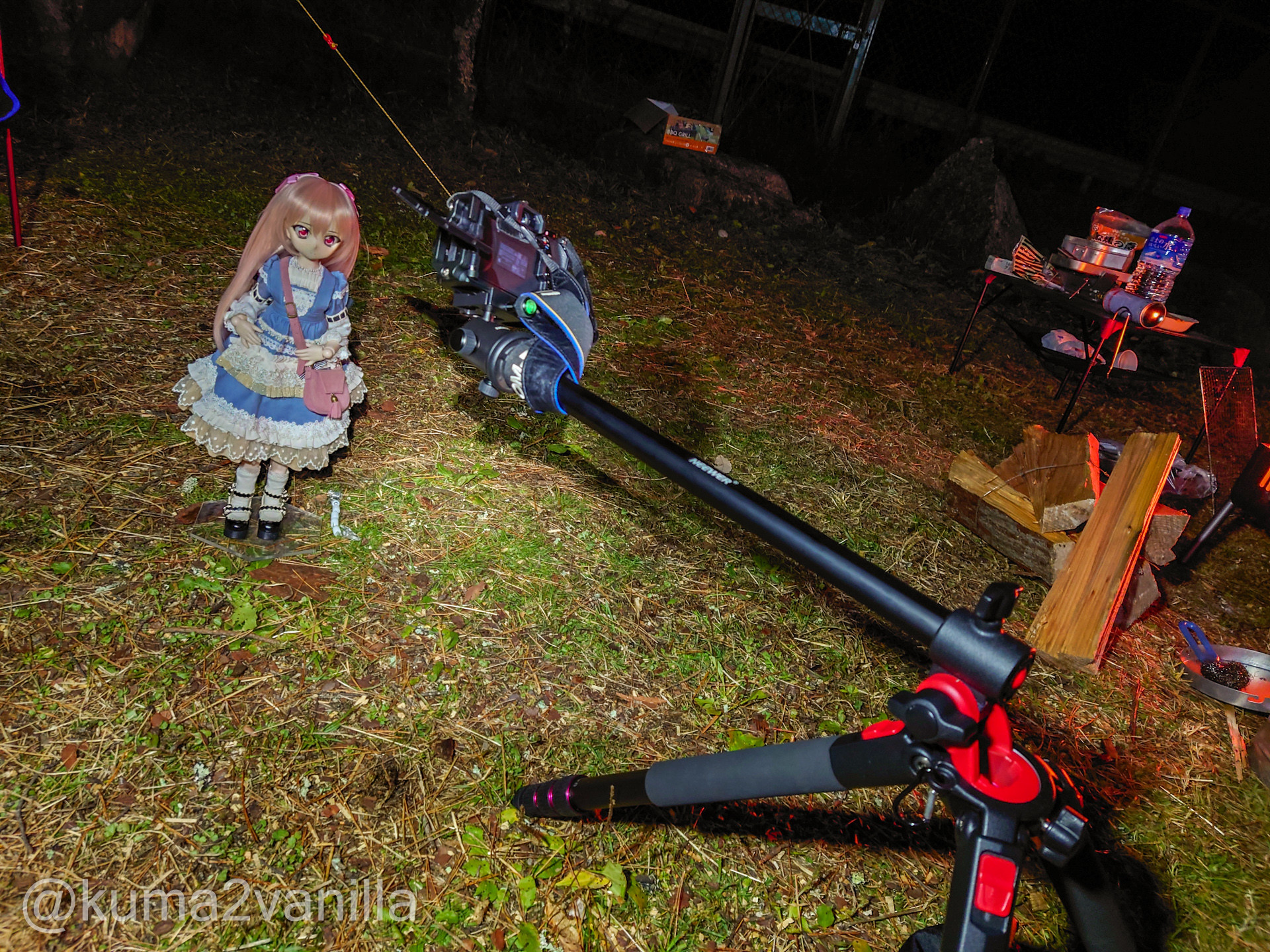 f:id:kuma2vanilla:20201129204927j:plain