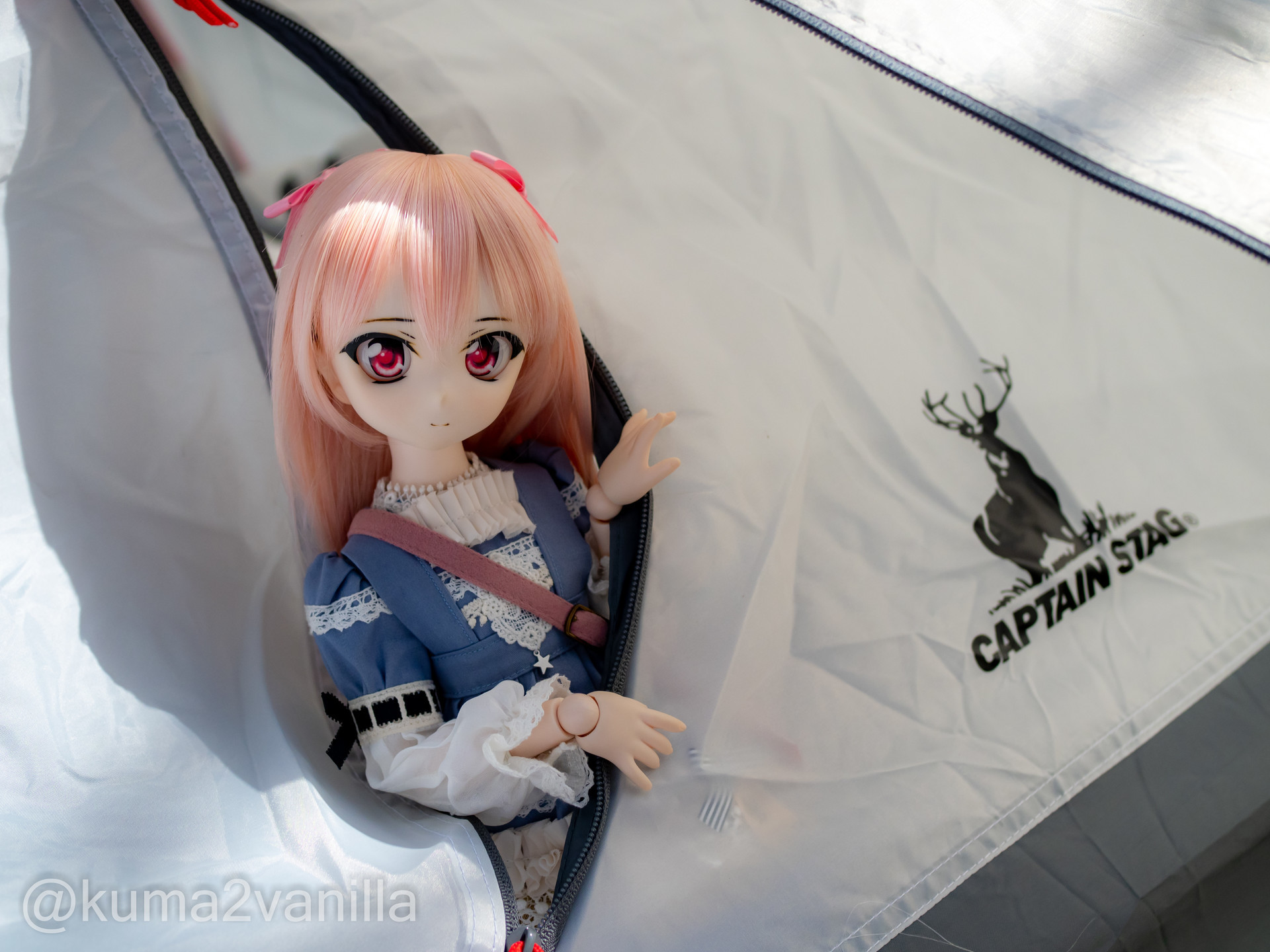 f:id:kuma2vanilla:20201129205501j:plain