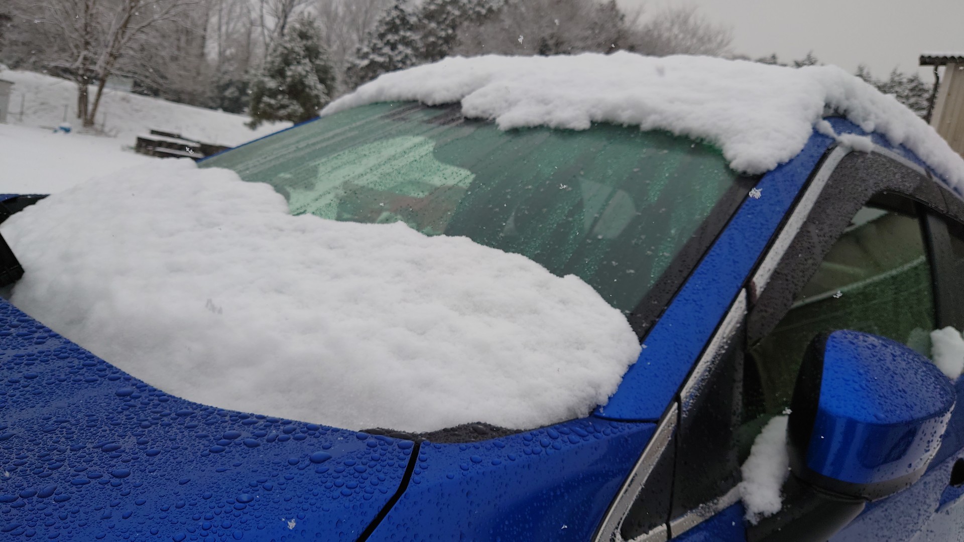 f:id:kuma2vanilla:20210112200028j:plain