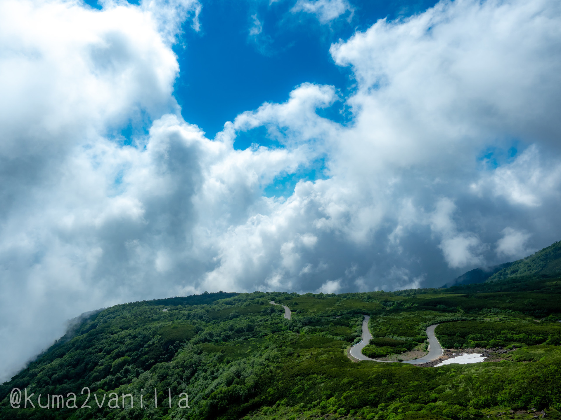 f:id:kuma2vanilla:20210726175429j:plain