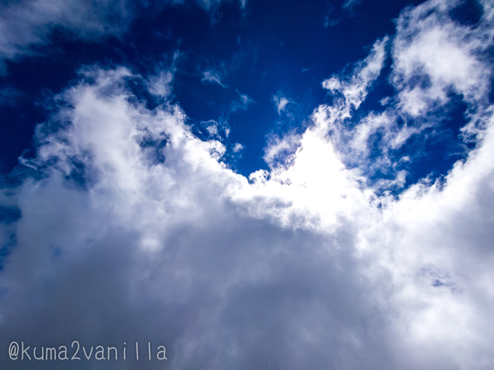 f:id:kuma2vanilla:20210726175723j:plain