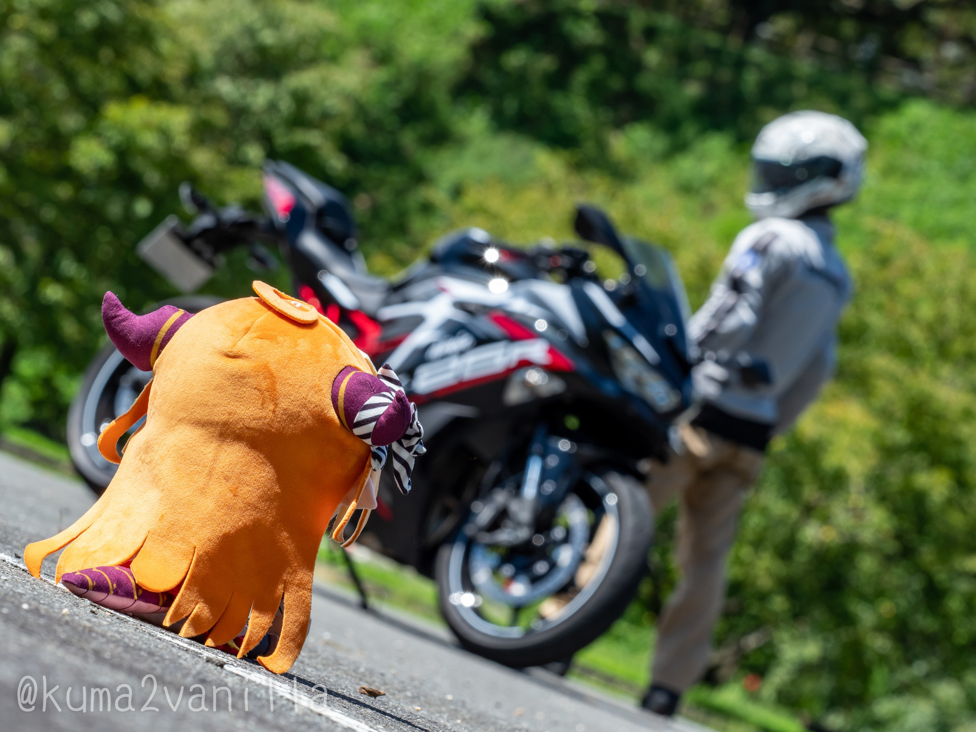 f:id:kuma2vanilla:20210905172136j:plain