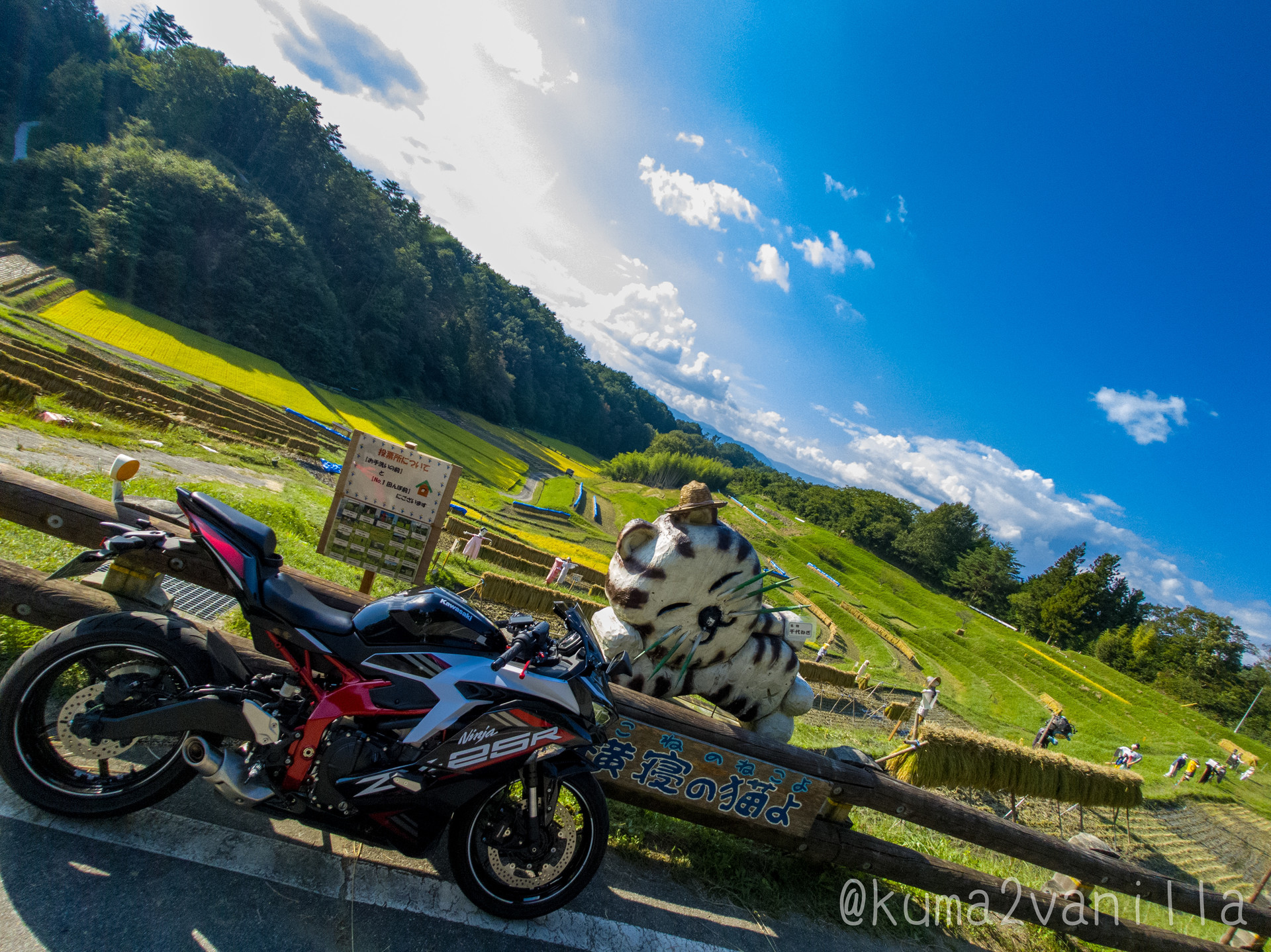 ロードバイク引き取とり ロードバイク引き取とり