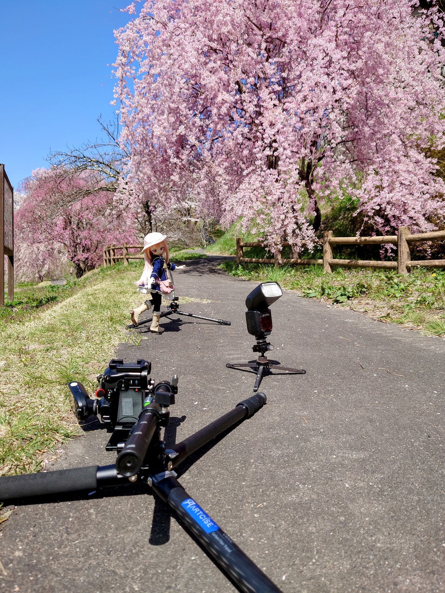 f:id:kuma2vanilla:20220409203357j:plain