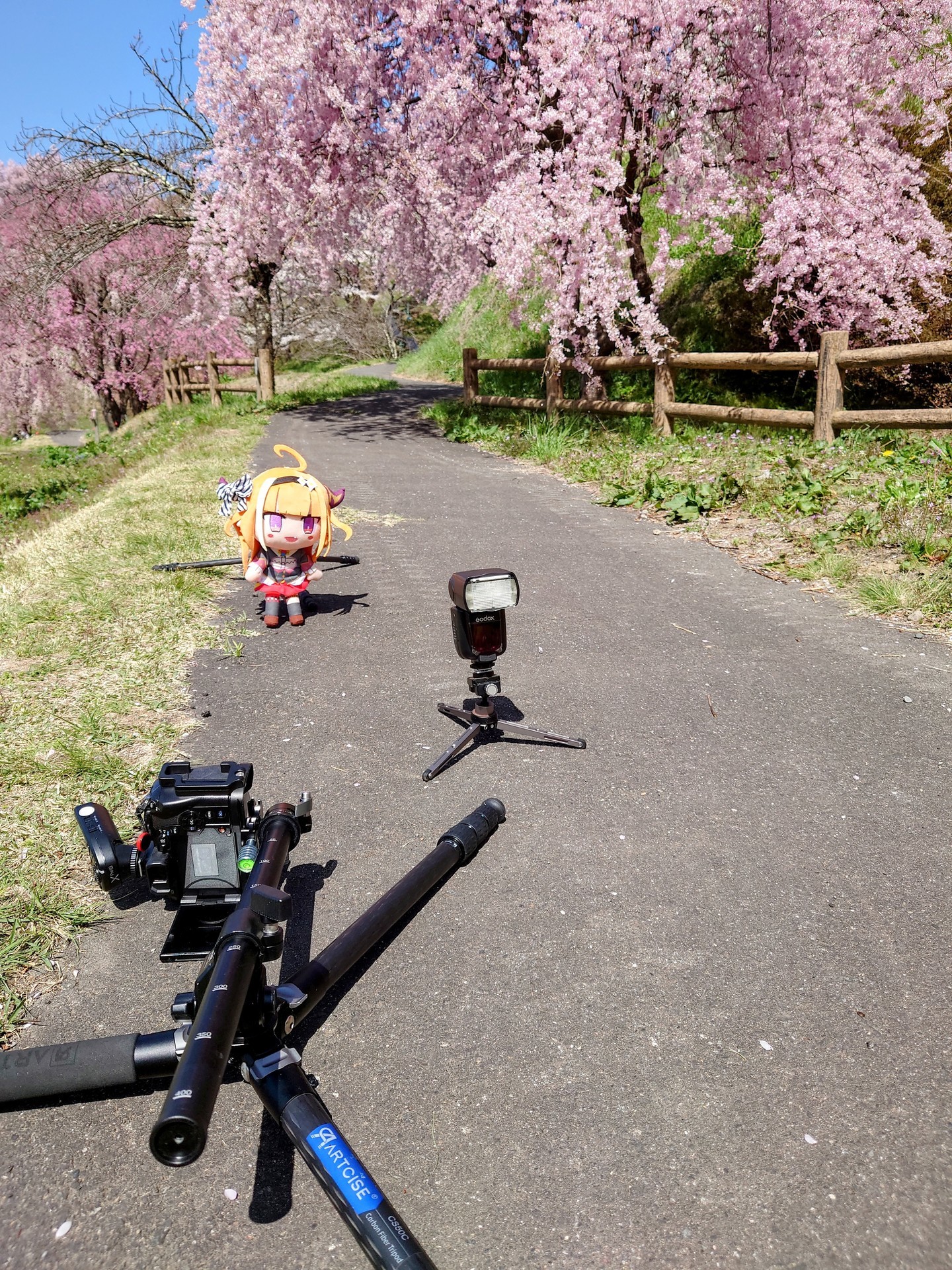 f:id:kuma2vanilla:20220409203414j:plain