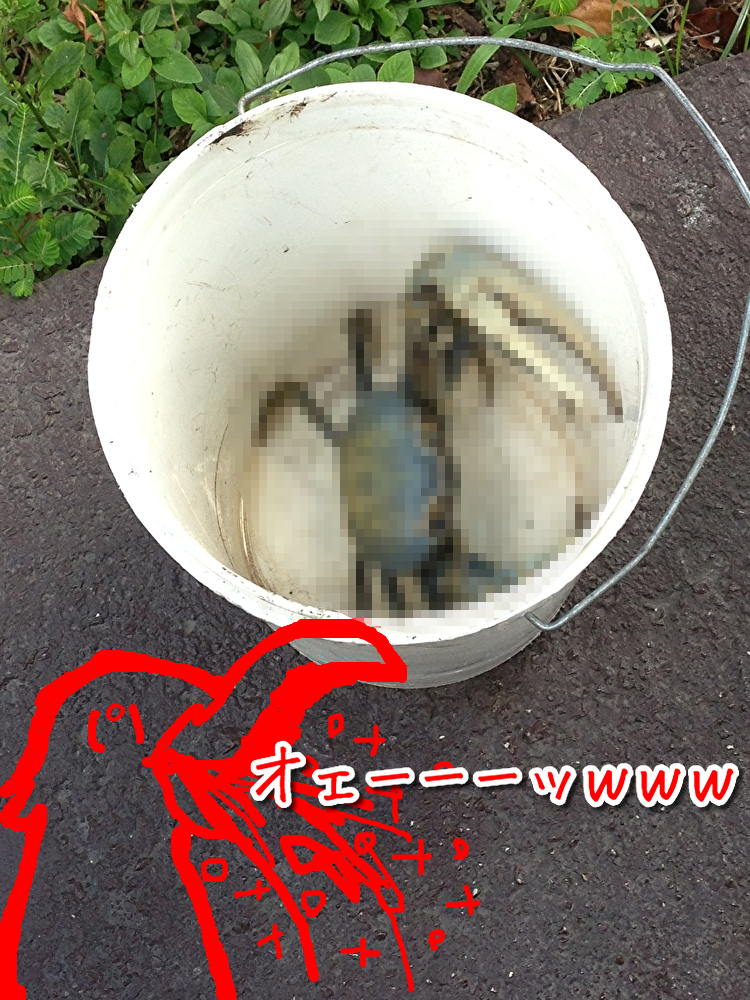 f:id:kuma306146:20191009005911p:plain f:id:kuma306146:20191009005911p:plain