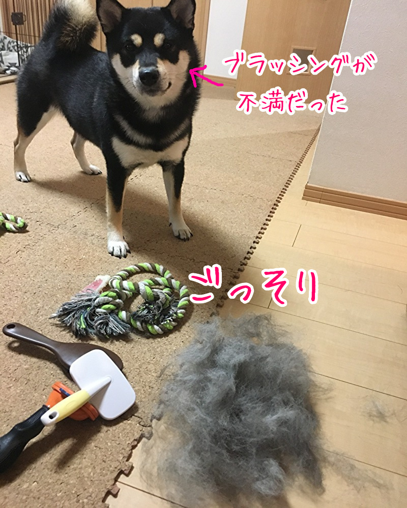 f:id:kuma306146:20191203225004p:plain