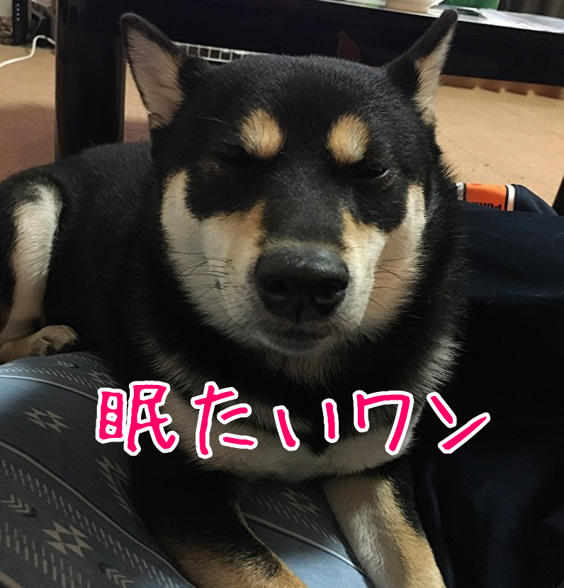 f:id:kuma306146:20191203225724j:plain