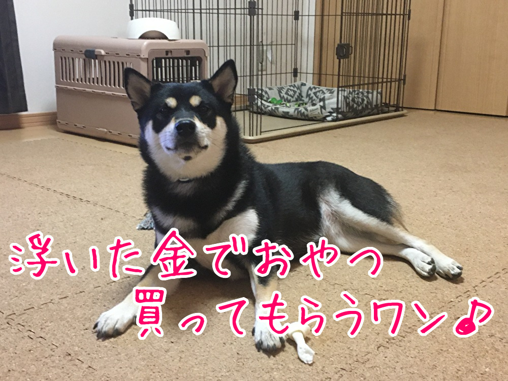 f:id:kuma306146:20191212120008j:plain