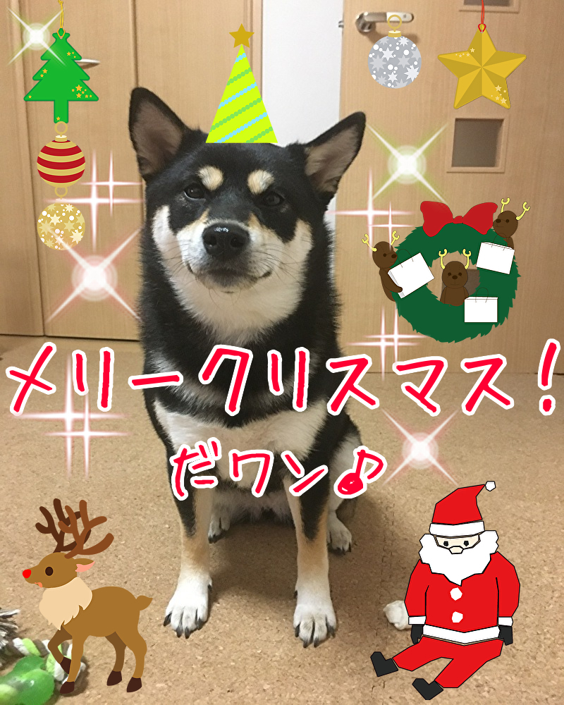 f:id:kuma306146:20191226094333j:plain