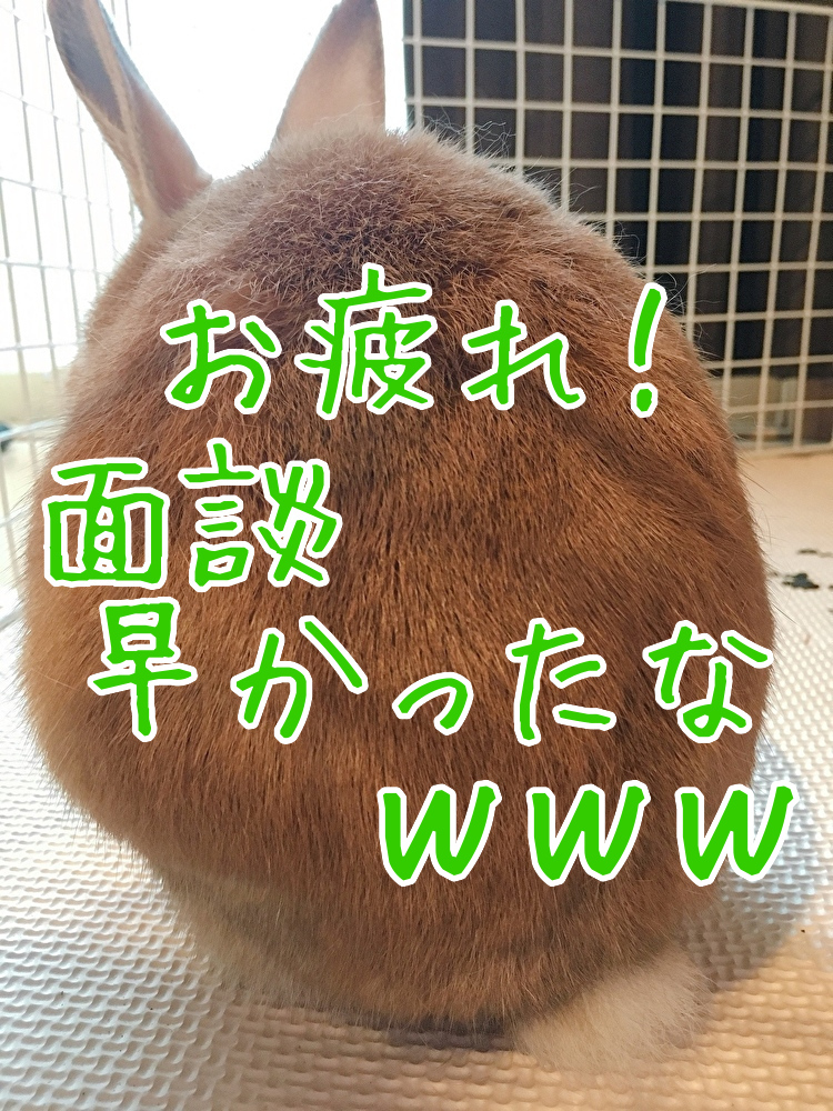 f:id:kuma306146:20200114184614j:plain