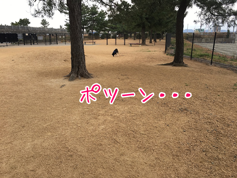 f:id:kuma306146:20200114190906j:plain