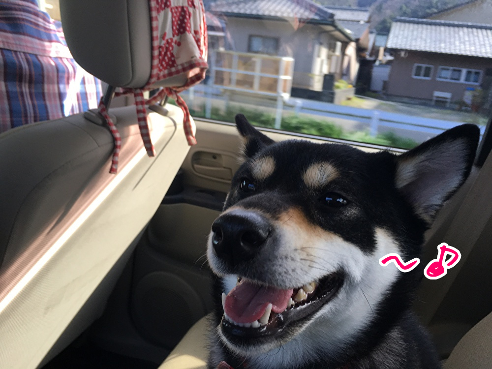 f:id:kuma306146:20200329205051j:plain f:id:kuma306146:20200329205051j:plain