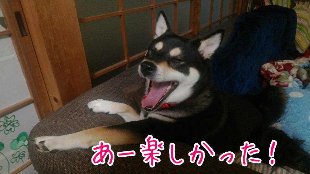 f:id:kuma306146:20200329205126j:plain f:id:kuma306146:20200329205126j:plain