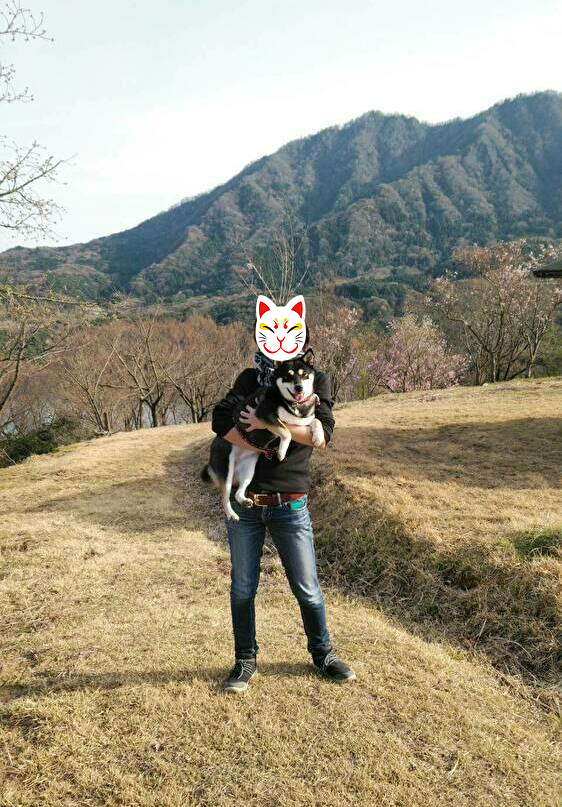 f:id:kuma306146:20200329205137j:plain f:id:kuma306146:20200329205137j:plain