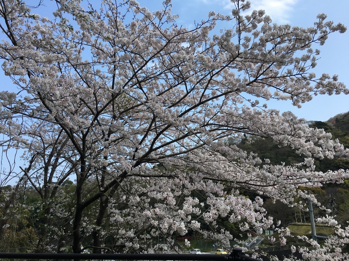 f:id:kuma306146:20200404233342j:plain