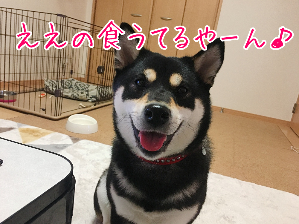 f:id:kuma306146:20200410213745j:plain