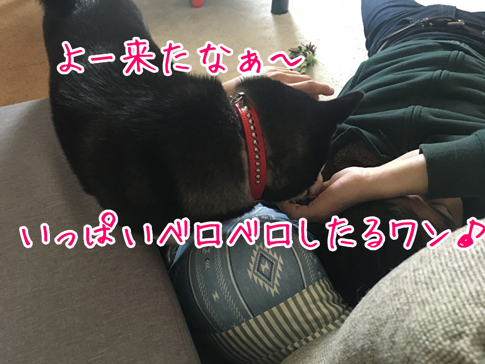 f:id:kuma306146:20200419205754j:plain