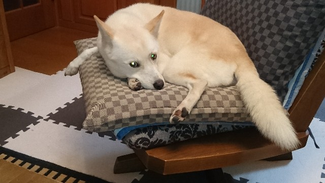 f:id:kuma4471:20191027191932j:image