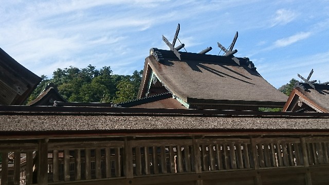 f:id:kuma4471:20191028174101j:image