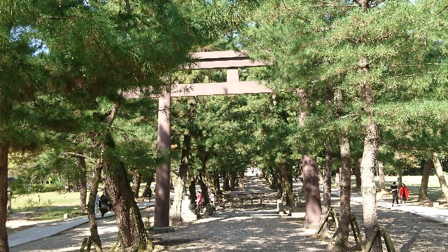 f:id:kuma4471:20191028174418j:image