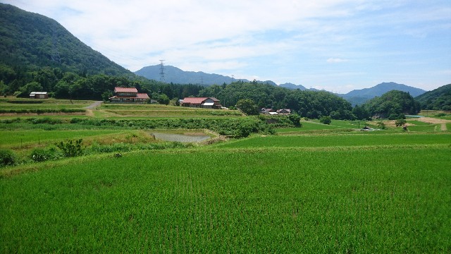 f:id:kuma4471:20200624172522j:image