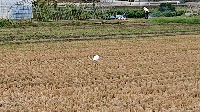 f:id:kuma4471:20200916165320j:image